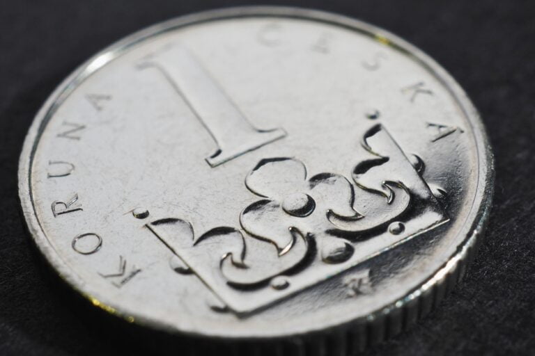 Česká jednokorunová mince zblízka