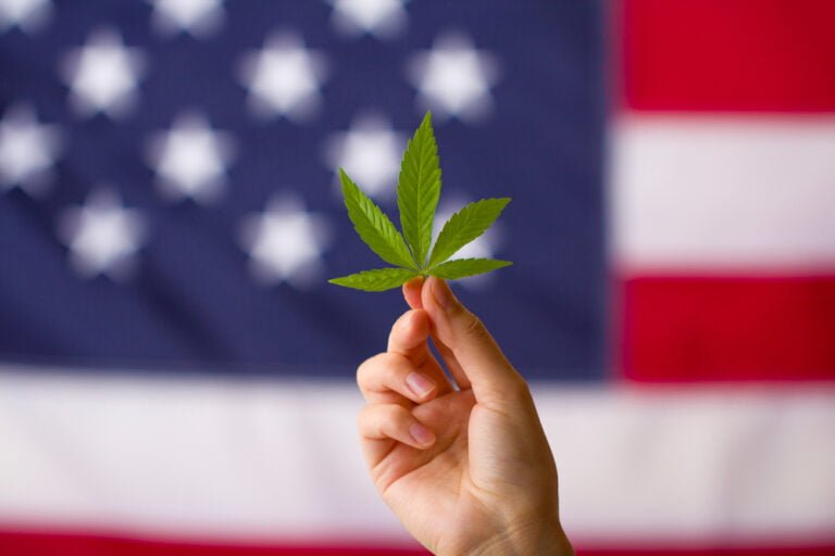 Koncept legalizace konopí v USA . Konopný list v rukou, a v pozadí je vlajka USA