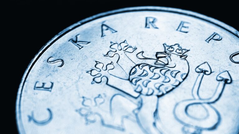 Česká jednokorunová mince. Dvouocasý lev zblízka.